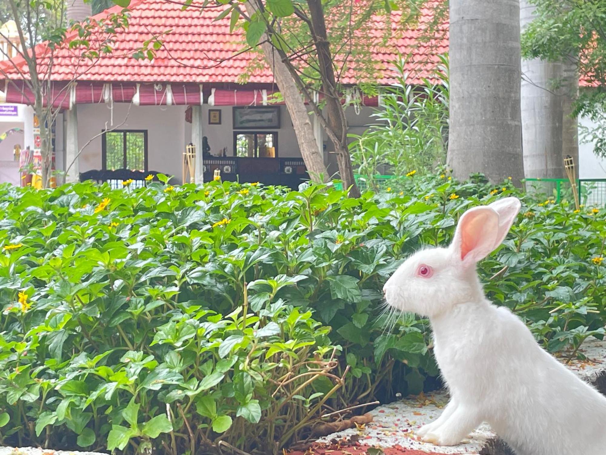 Chola Heritage Resort Kāraikkudi Buitenkant foto